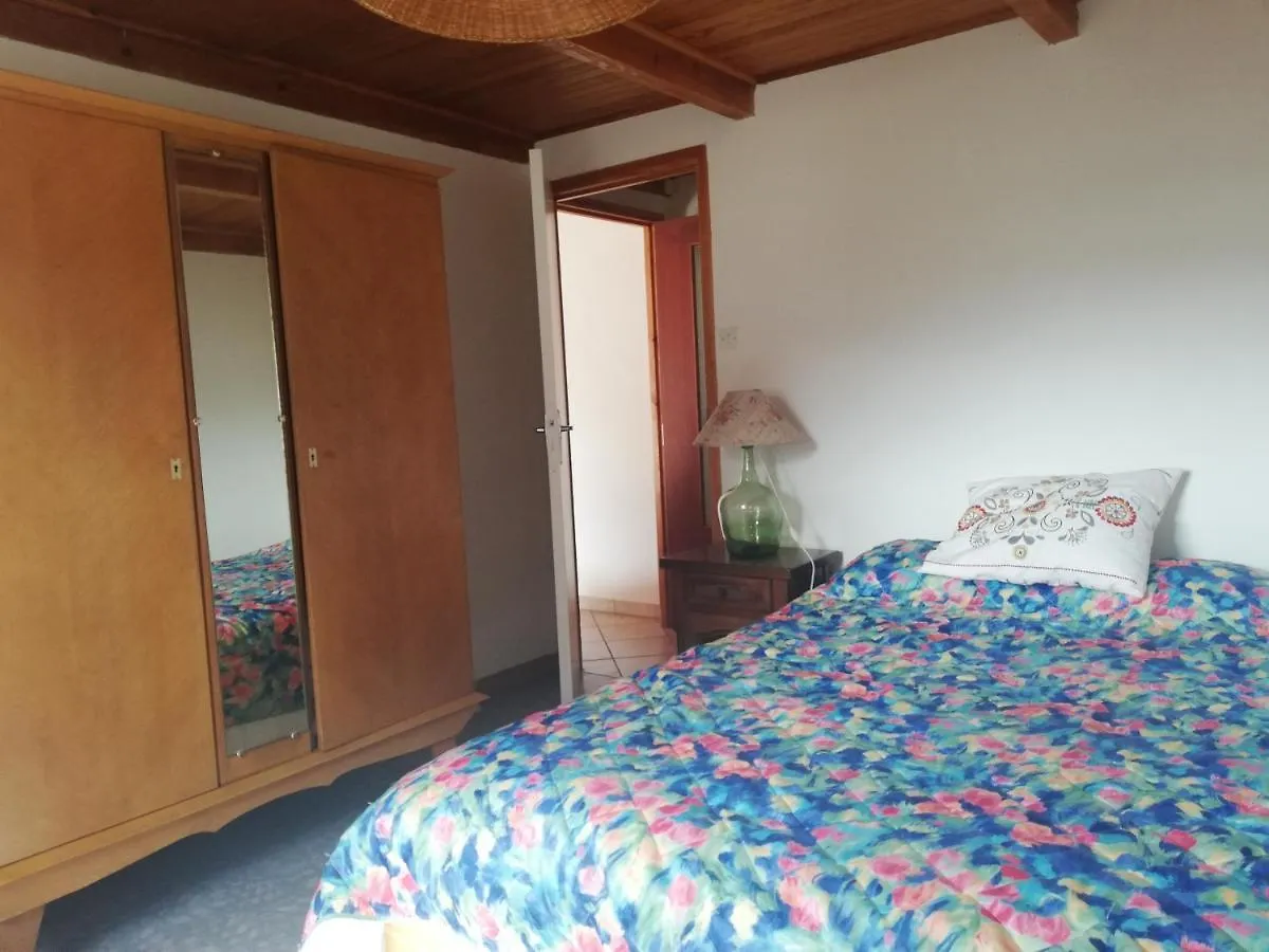 Grand Gite 14 Personnes ,Cour ,Salle De Jeux, Proche Du Village , Commerces Murat  Holiday home